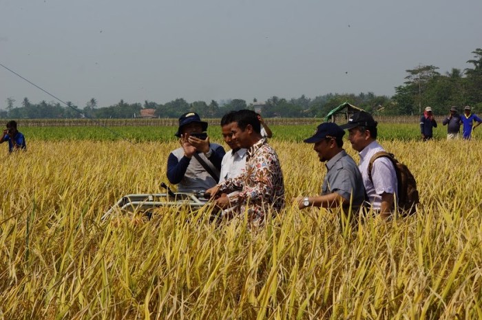 Pertanian tengkulak petani sukses usaha bidang bagikan