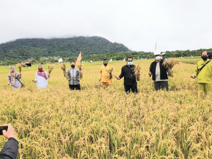 Inovasi teknologi dalam budidaya padi