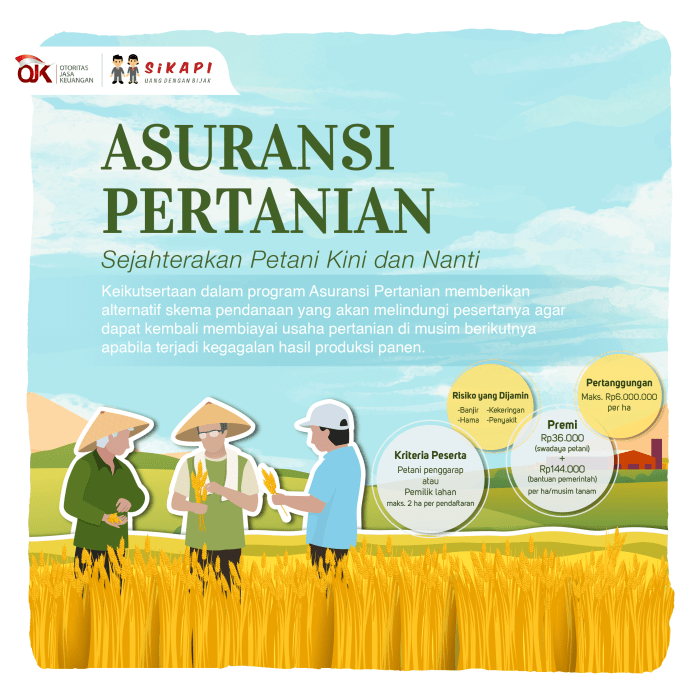 Pentingnya asuransi pertanian untuk petani padi