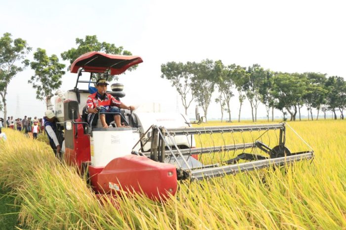 Alat dan mesin untuk panen yang efektif