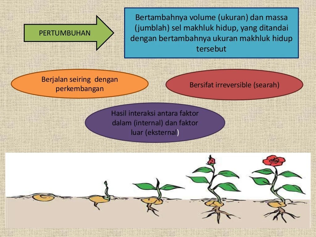 Faktor yang mempengaruhi hasil panen